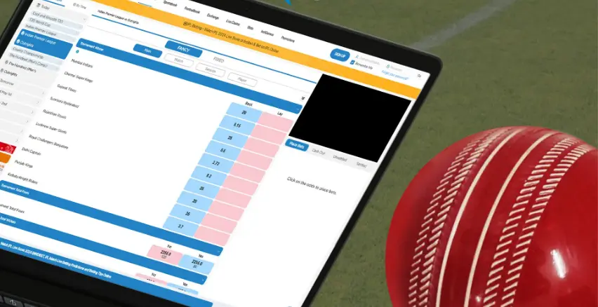 Cricket Betting At IndiBet